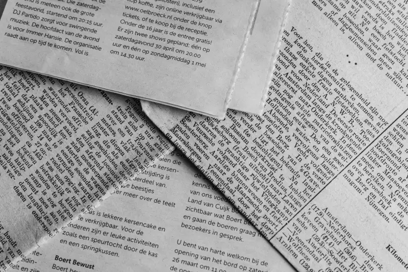 海南企业数字化转型：定制化软件开发与系统集成方案设计要点