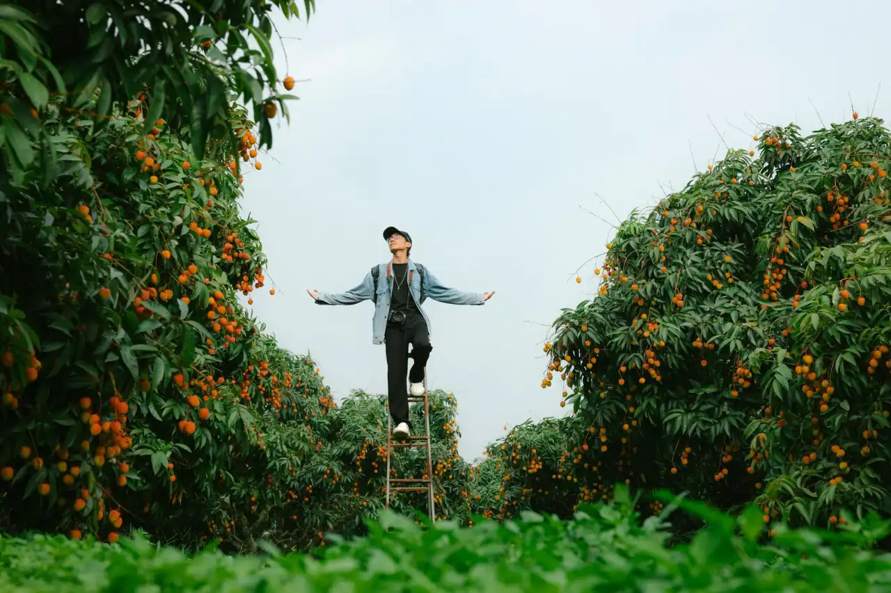 海口营森罗科技研发案例：定制化软件如何助力企业提升30%管理效率